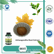 Organic Ashwagandha Root Extract Withanolides 1%-5%